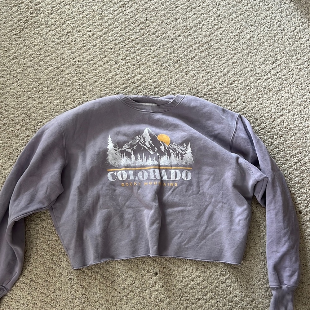 Purple cropped Hollister crew neck